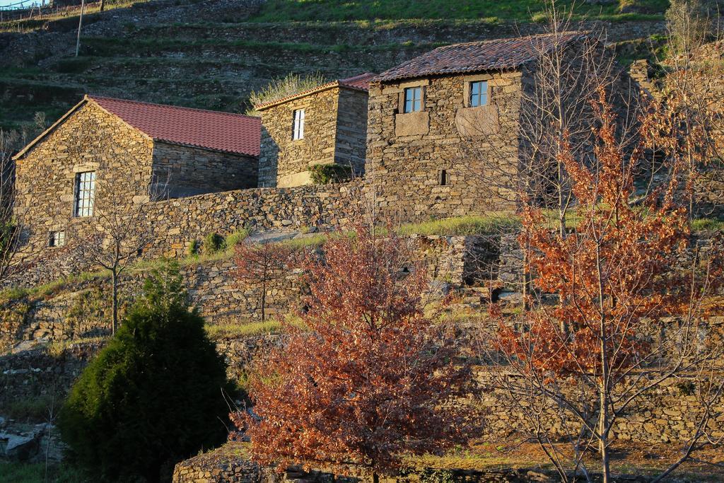 Cardenha Do Douro Villa Mesao Frio Room photo